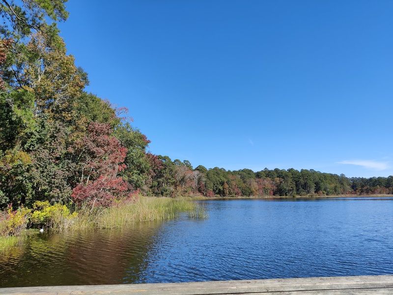 Easy Day Trip from Houston