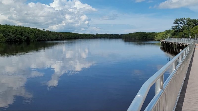 North Fork St. Lucie Aquatic Preserve Kayaking