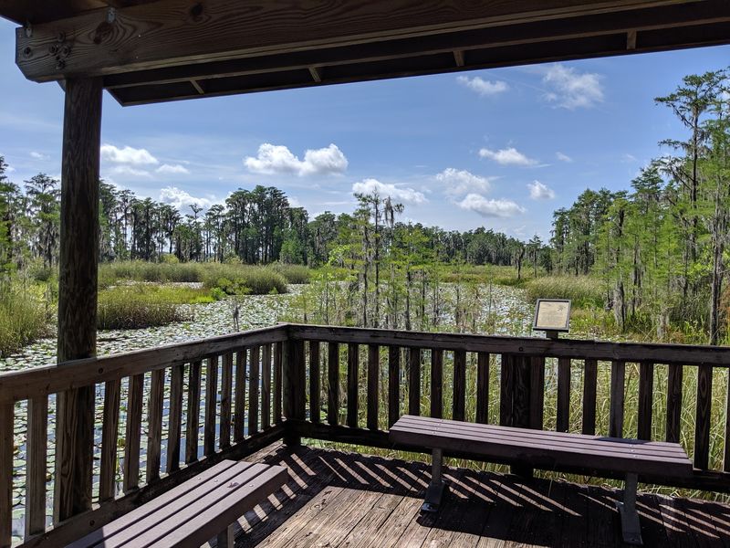 Osprey Overlook Offers the Preserve's Best Views