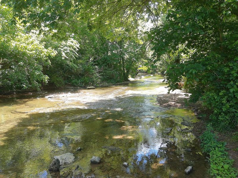 What You'll See Along the Way Besides the Storybook Surprises