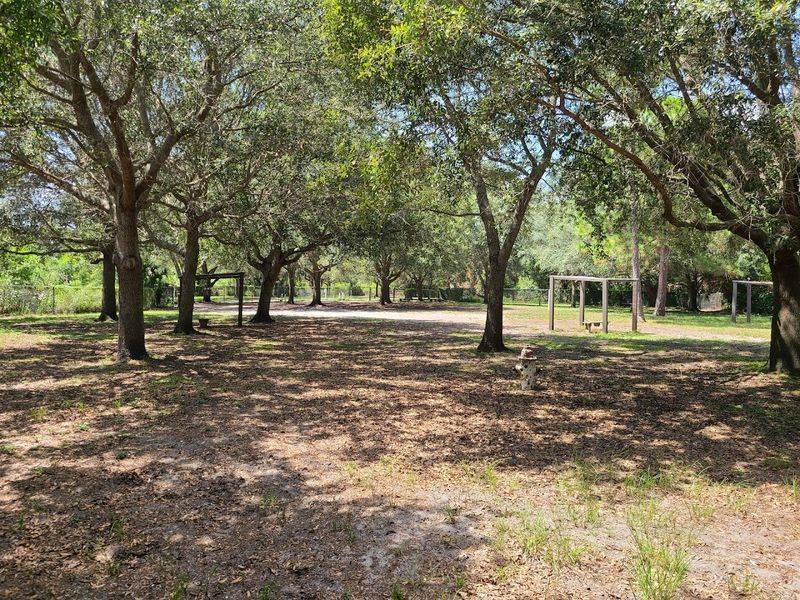 The Spacious Dog Park