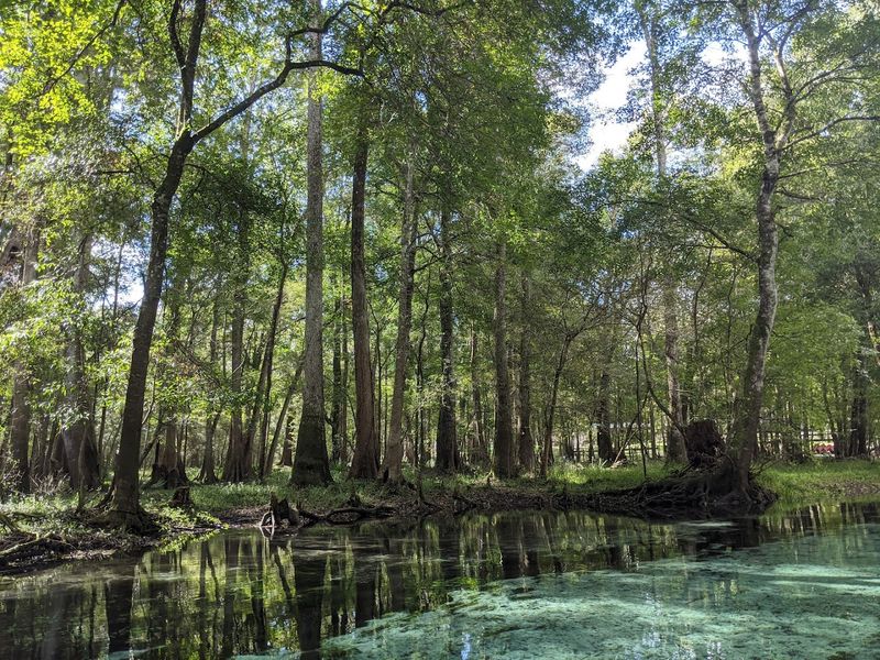Camping Area Spring Access