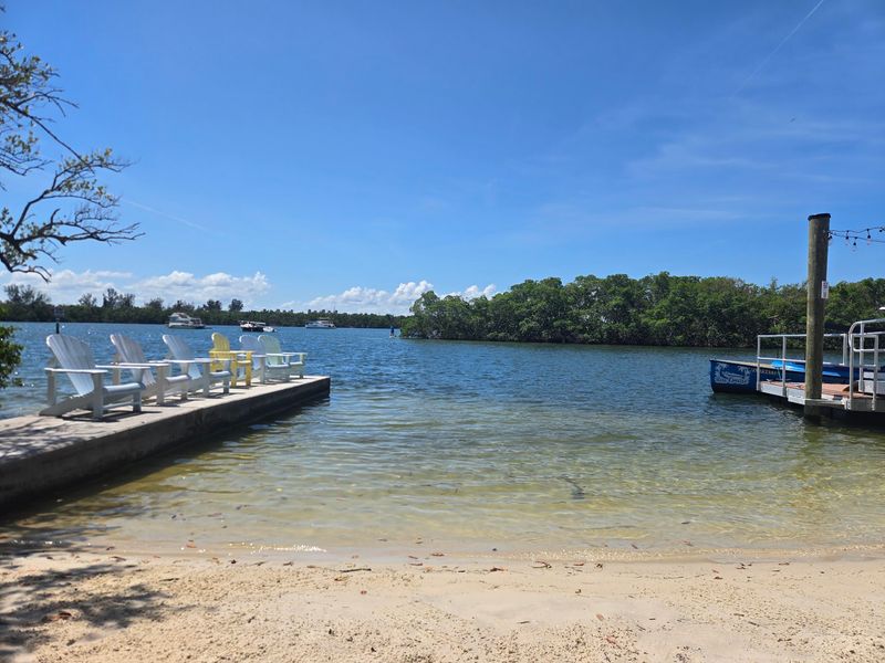 Real Sand, a Short Pier, and a Mangrove Swing
