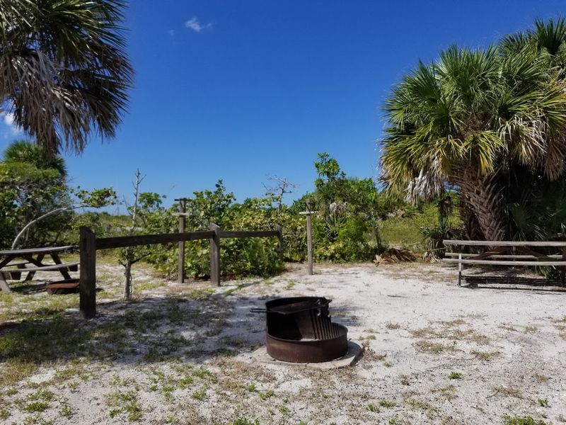 Primitive Camping Under the Stars