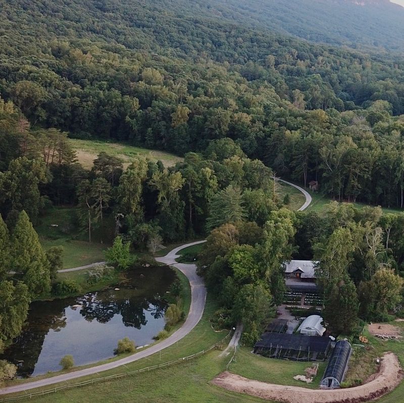 Reflection Riding Arboretum and Nature Center
