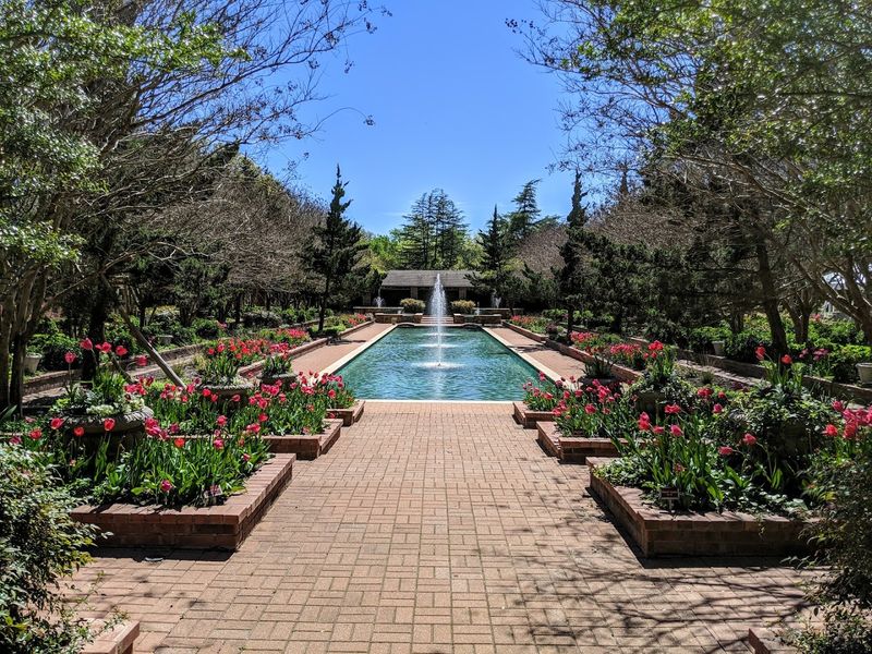 Mediterranean Landscapes in the Heart of Texas