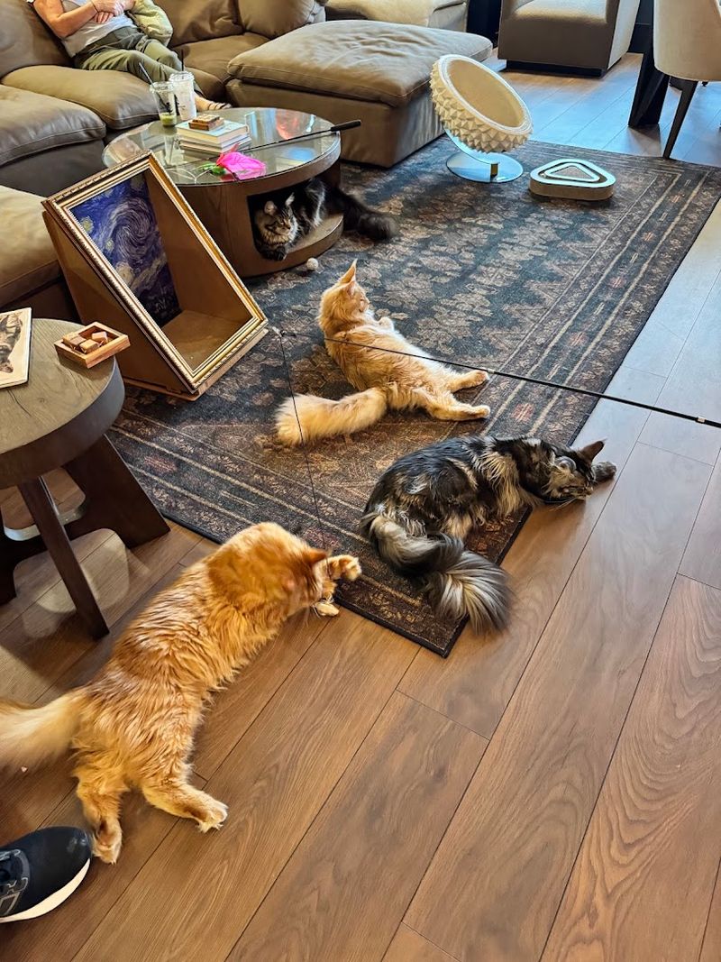 Therapeutic Benefits That Actually Add Years to Your Life