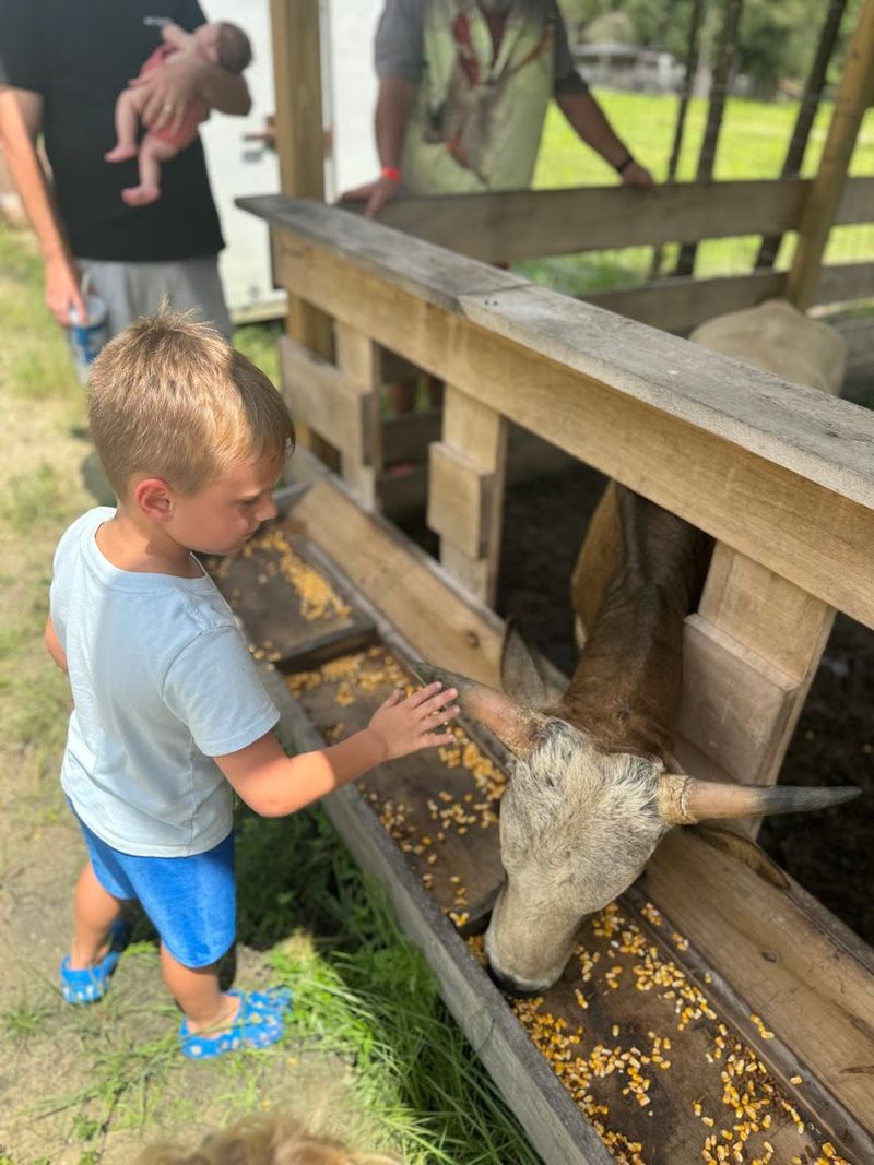 Private Events and Parties That Bring the Farm to You