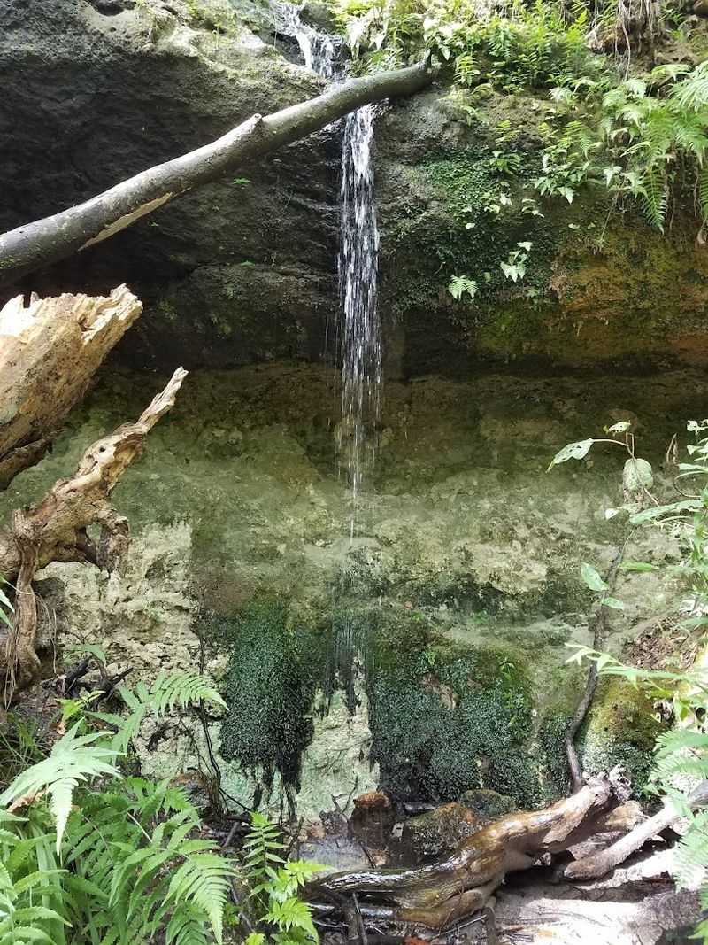 Weeping Ridge Waterfall and Ravine Wander