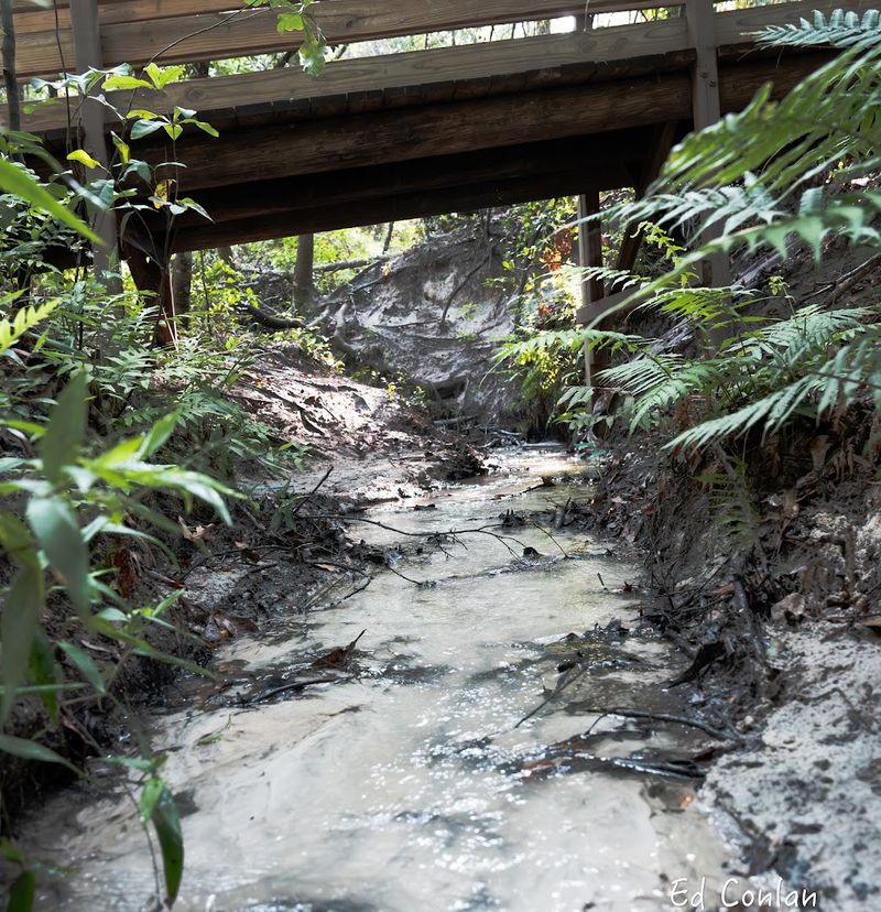 Hidden Waters Preserve Waterfall (Eustis)