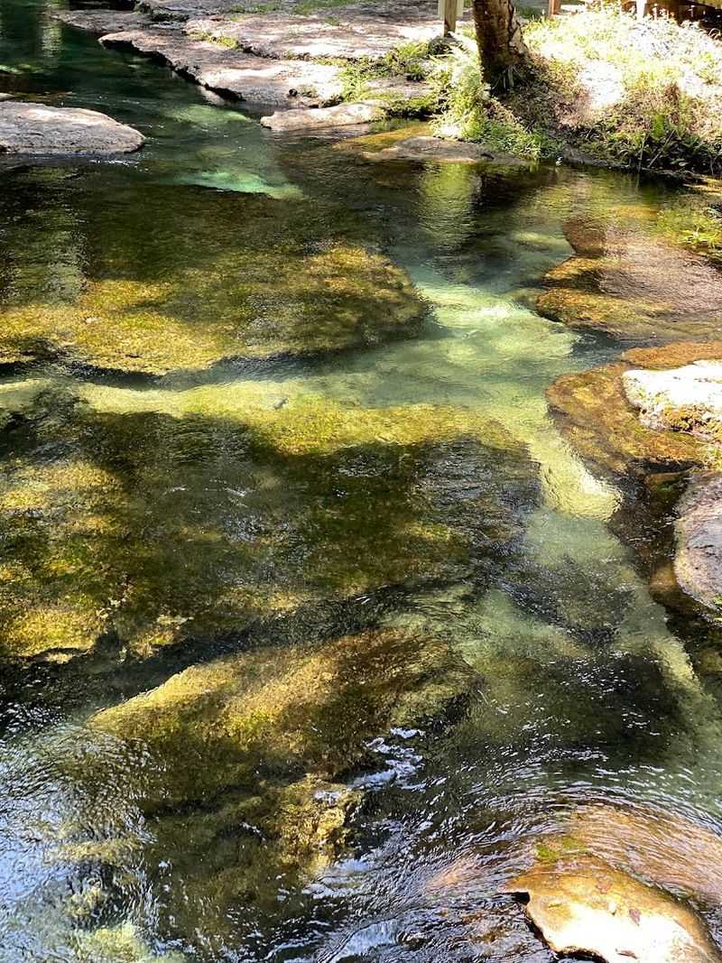 Crystal Clear Waters That Reveal Every Detail Below