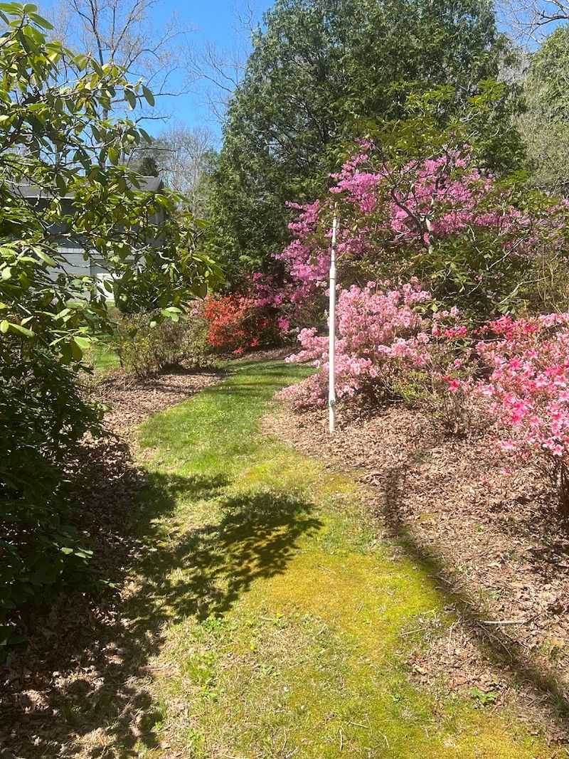 Genesis Gardens Is the Kind of Spring Stop You'll Want to Savor Slowly