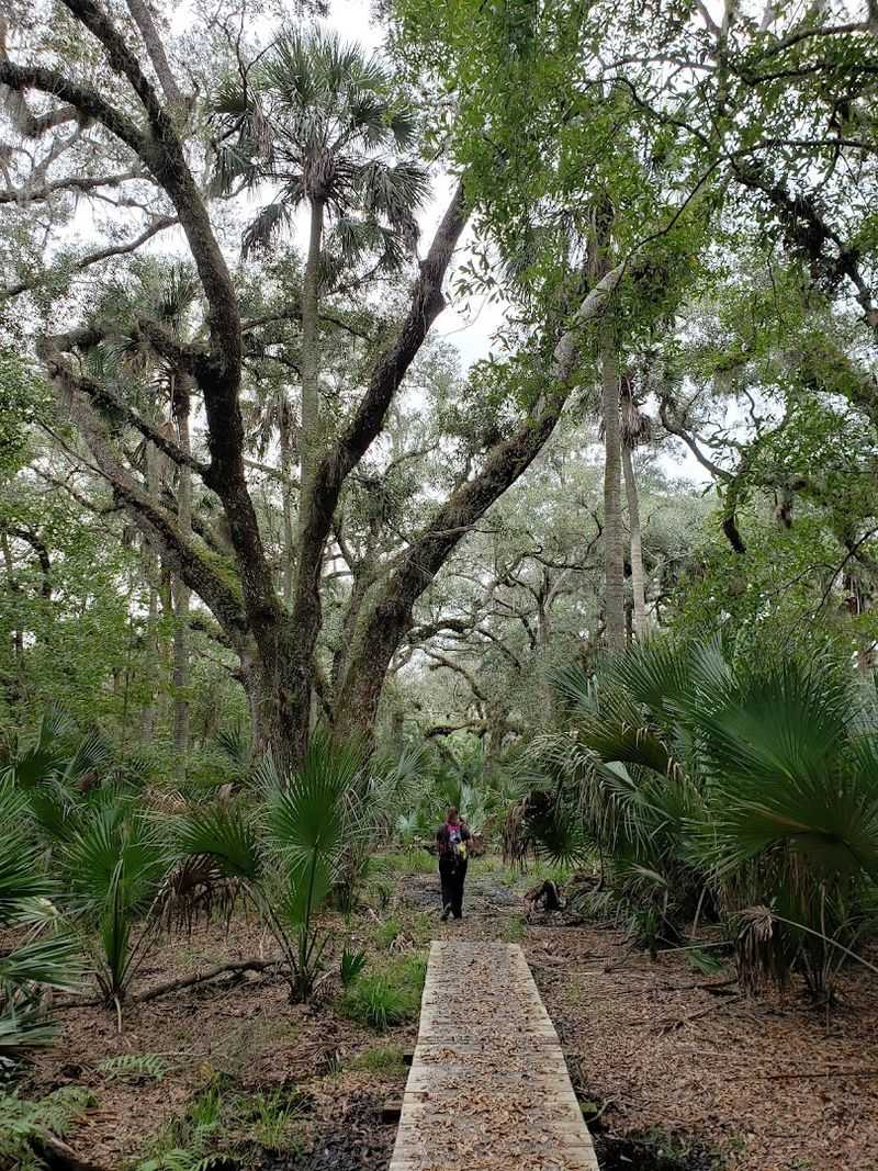 This Fascinating Florida Trail Leads Through an Abandoned Ghost Town