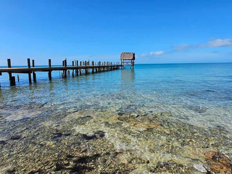 Swimming And Snorkeling In Crystal Waters