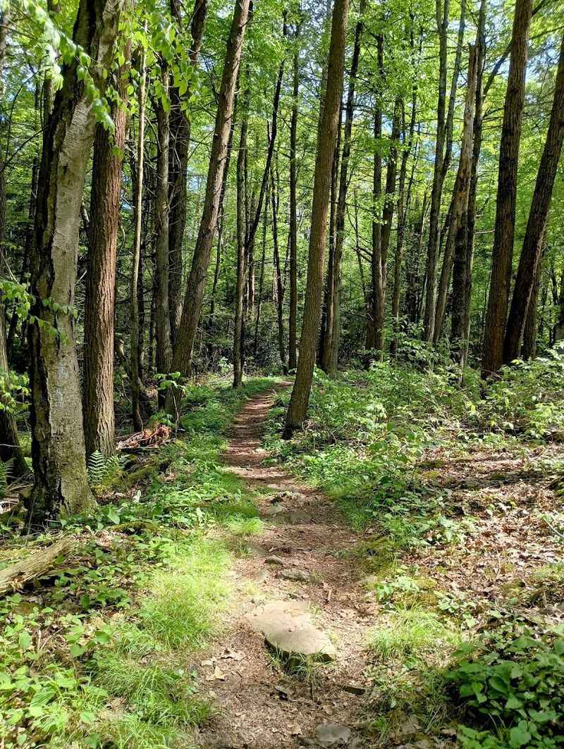 Trails To Castle Rocks And Thousand Steps