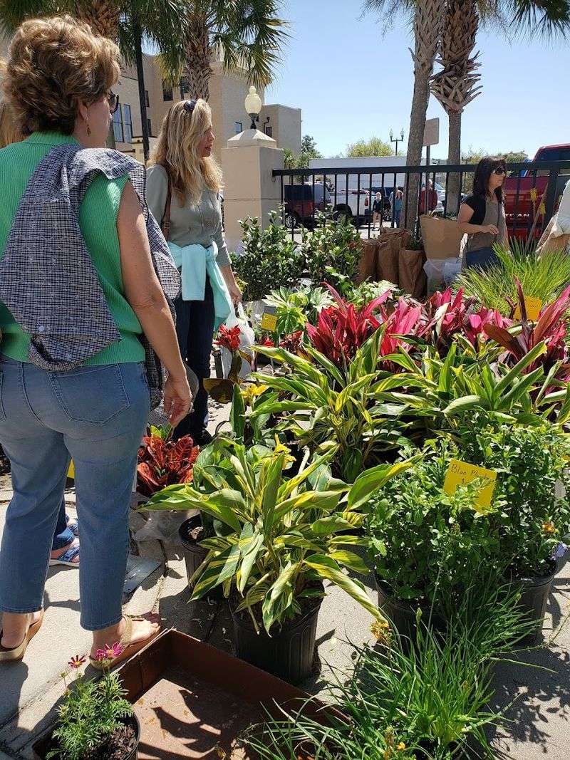 What To Expect On Festival Saturday