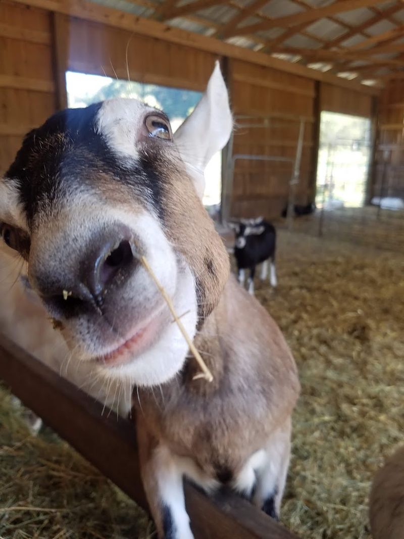 Meet the Animals That Make This Place So Special