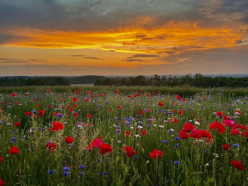 Sunset Is One of the Biggest Reasons to Visit