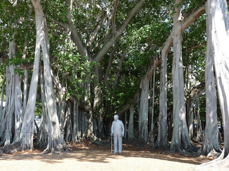 Gardens, Banyan Tree and the Riverfront Stroll