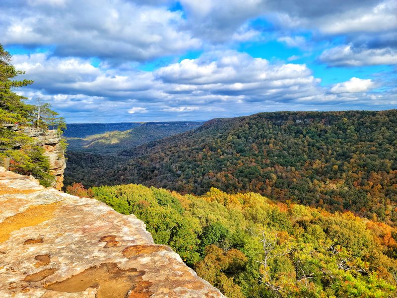 Why Savage Gulf State Park Is Tennessee's Ultimate Outdoor Escape