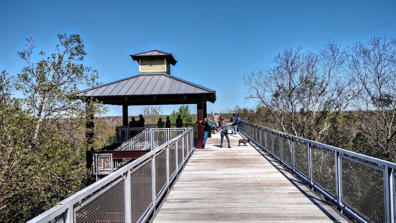 A Pet-Friendly Paradise for Four-Legged Adventurers