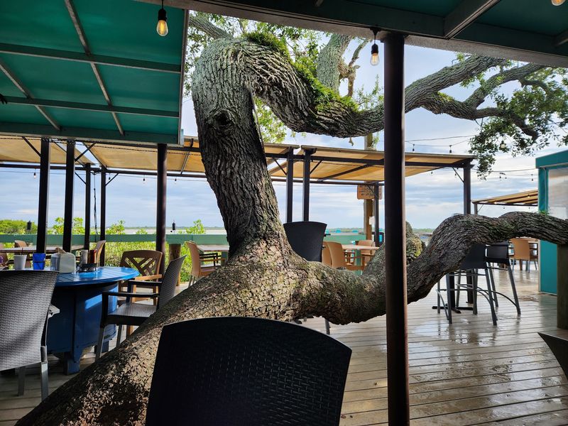 Hidden Treasure Rum Bar & Grill (Ponce Inlet)