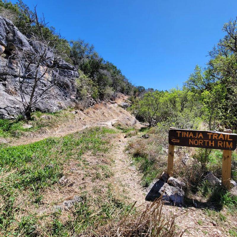 Trail Networks That Never Get Old