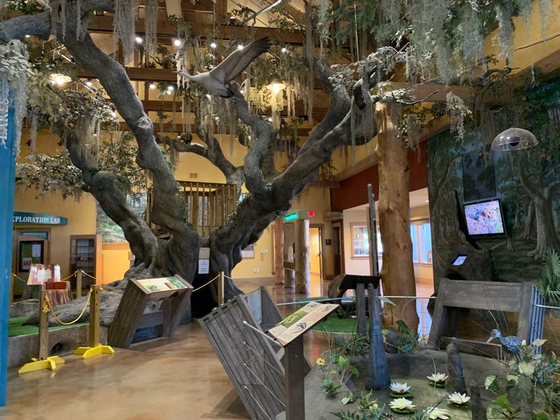 Discovery Center: Maps, Tips, and Kid Friendly Fun