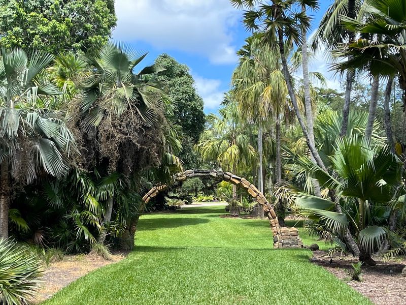 Palmetum, Rare Palms, and Open East Side Vistas