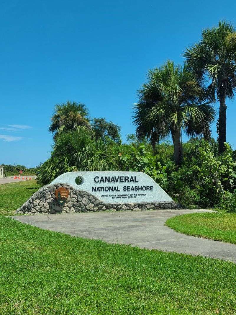 Nearby Places to Stay and Late-Night Bites After Stargazing