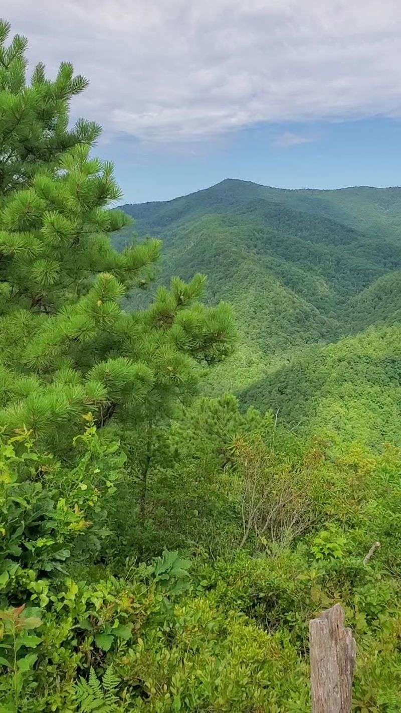 Whitehouse Cliffs Viewpoint