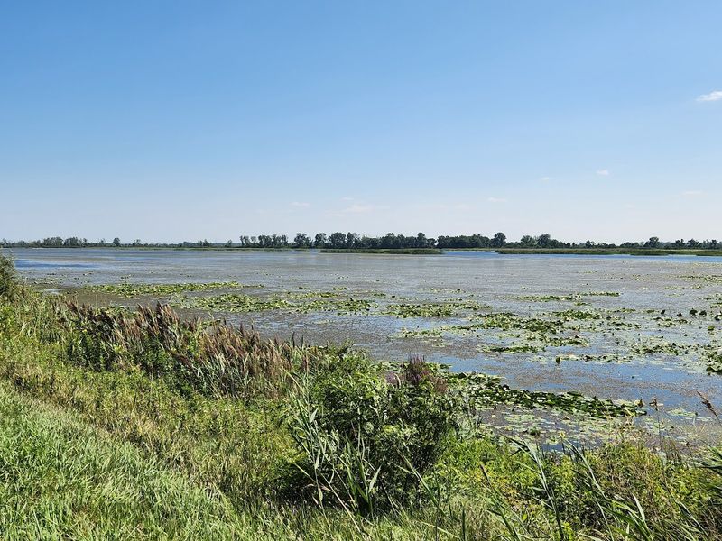 Metzger Marsh Wildlife Area, Bono, Ohio