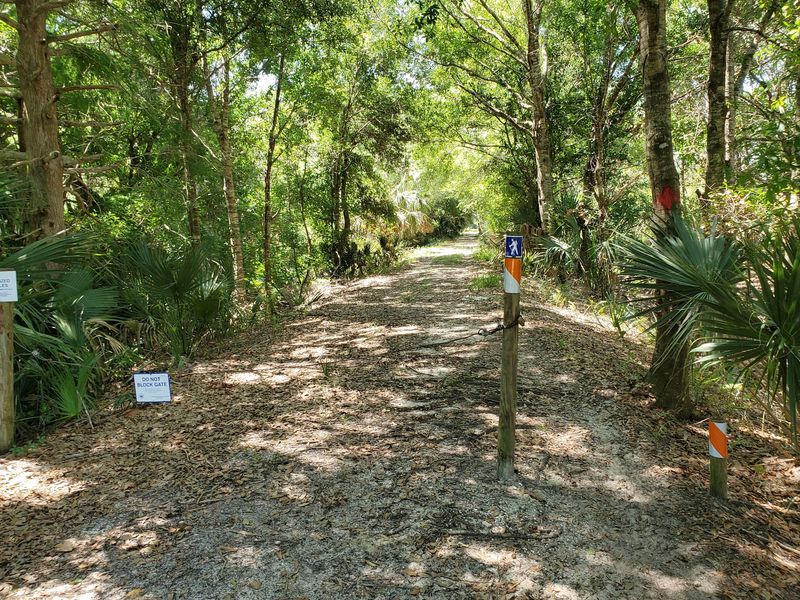 Trails, Colors, and Not Getting Lost