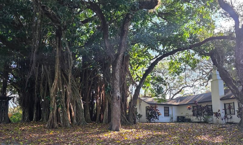 The Wray Museum and Historic Estate