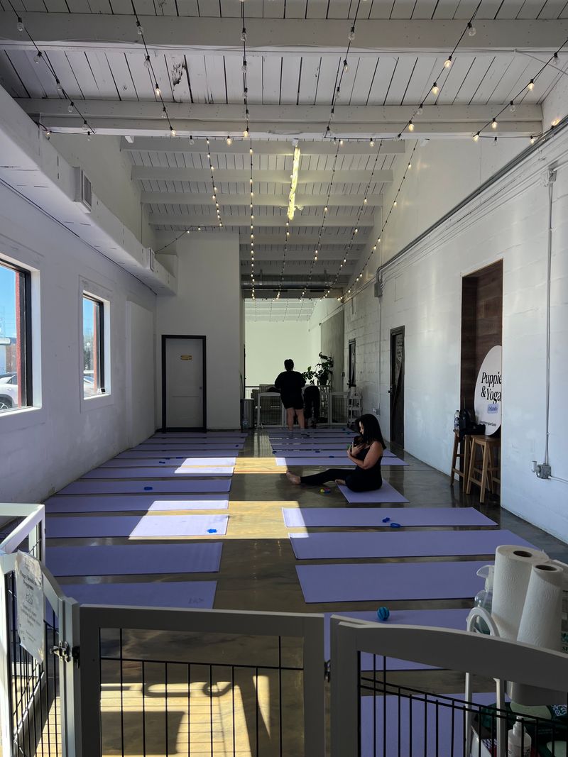 What to Know Before You Book Your Spot