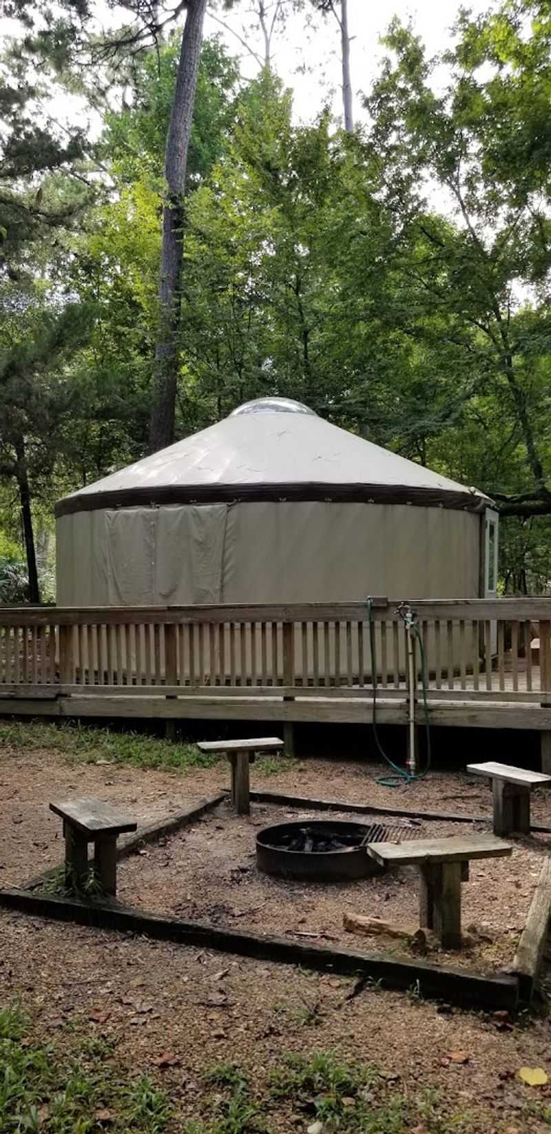 Camping Among the Trees and History