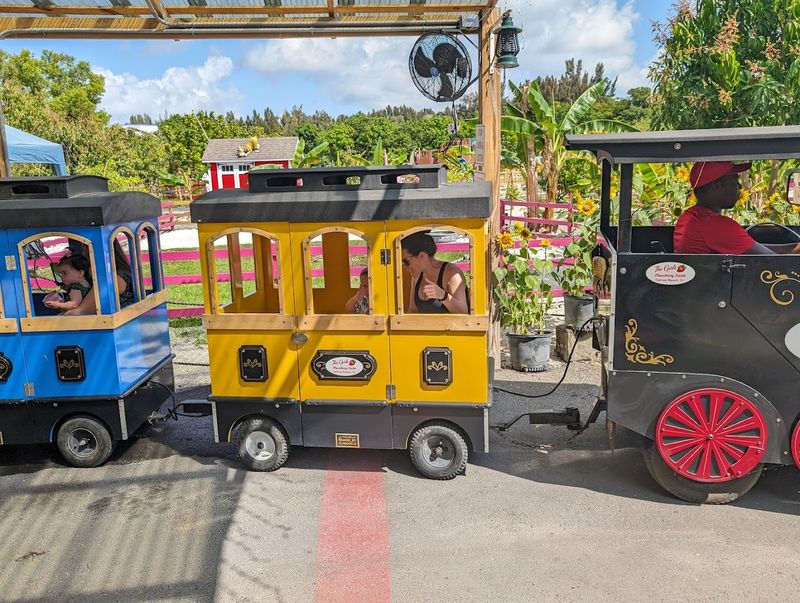 Ride A Miniature Train Through The Property