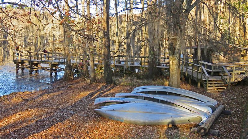 Practical Tips for a Dreamy Day