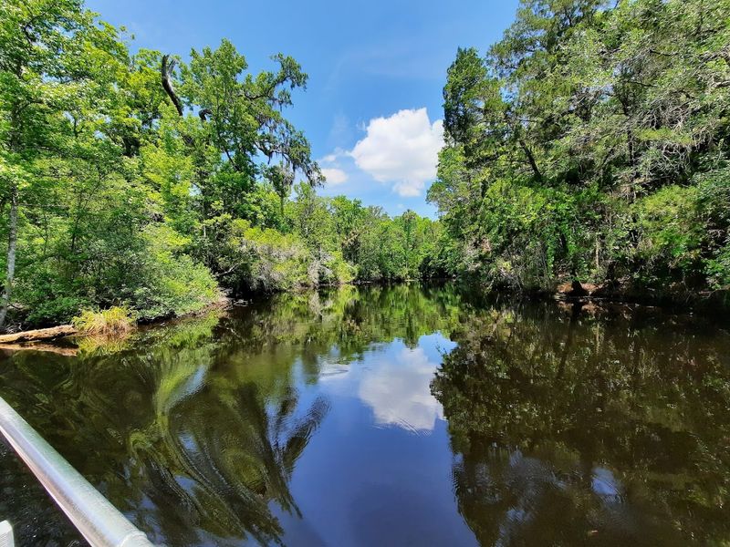 Scenic Boat Ride To The Park