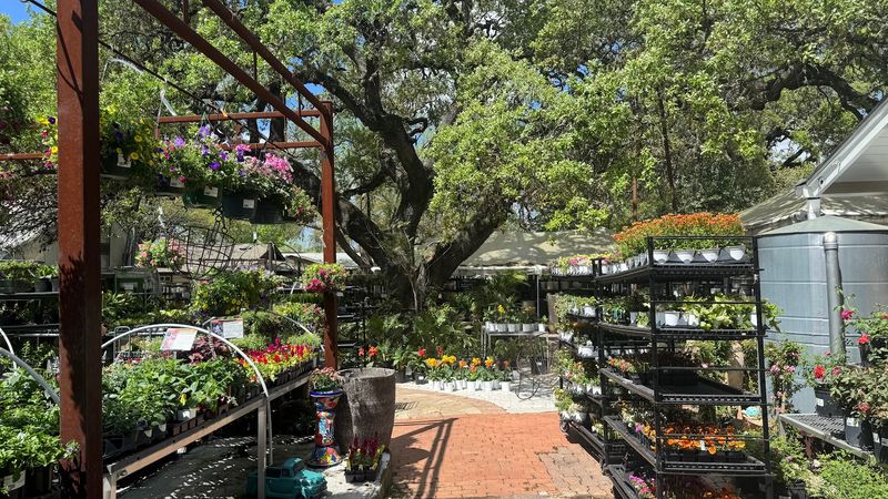 A Location Right on South Congress That's Easy to Reach