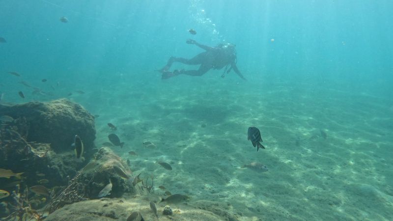 This Free Florida Snorkel Trail Lets You Swim Through One of the Country’s Best Underwater Worlds