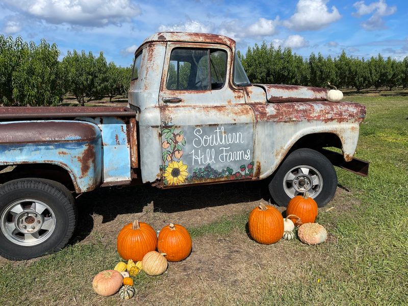 Southern Hill Farms (Clermont)