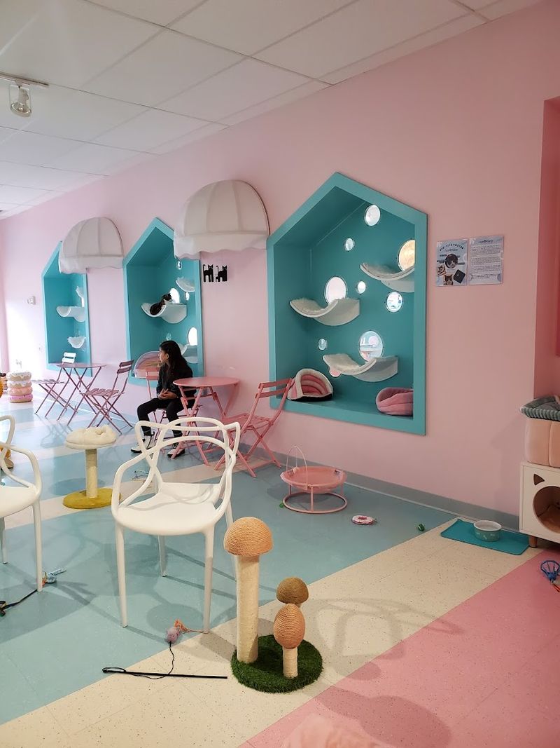 First Time Visitor Game Plan