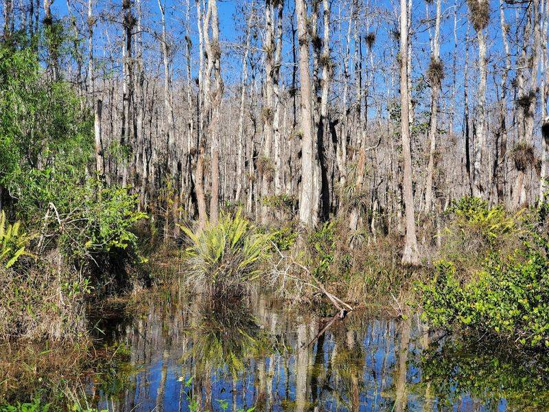 Slippery Marl Mud That Wants Your Boots