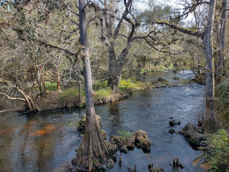 Hillsborough River State Park (Thonotosassa)