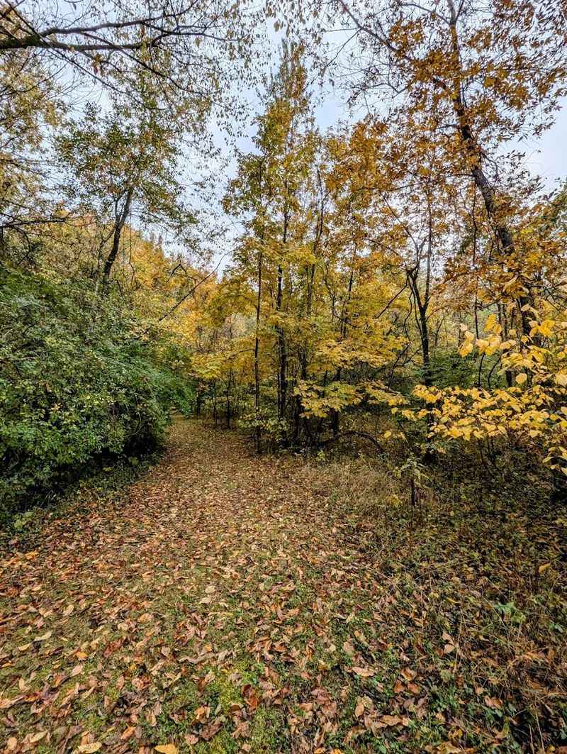 A Hidden Nature Sanctuary in Tennessee Worth Discovering