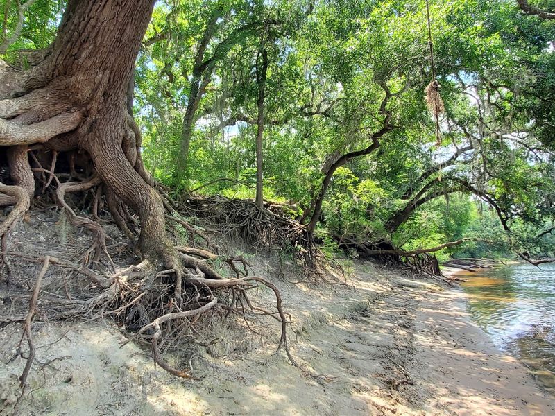 When River Levels Change Everything