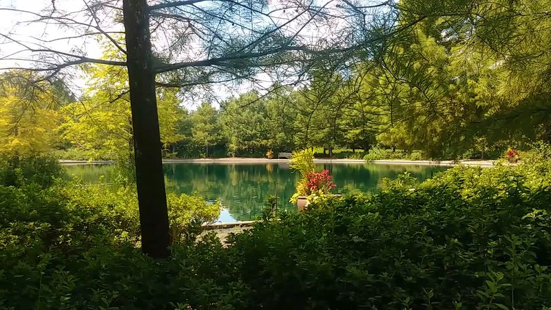 Thoughtful Landscaping Creates Instagram-Worthy Moments