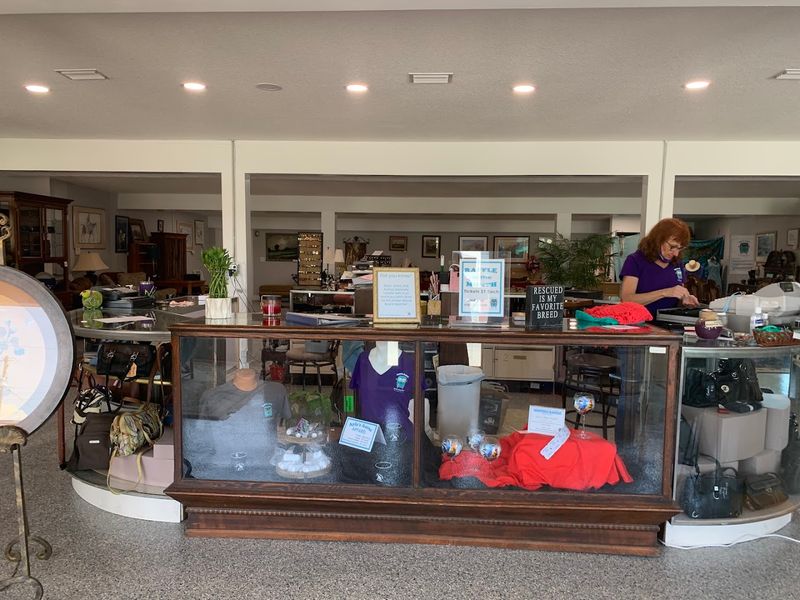 Why This Thriftique Matters