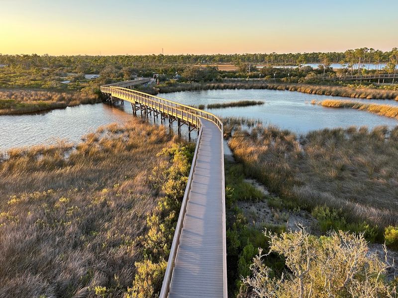 Climb the Observation Tower at Big Lagoon State Park